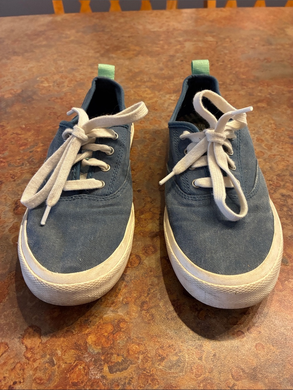 Sperry Canvas Lace-Up Sneakers in Blue